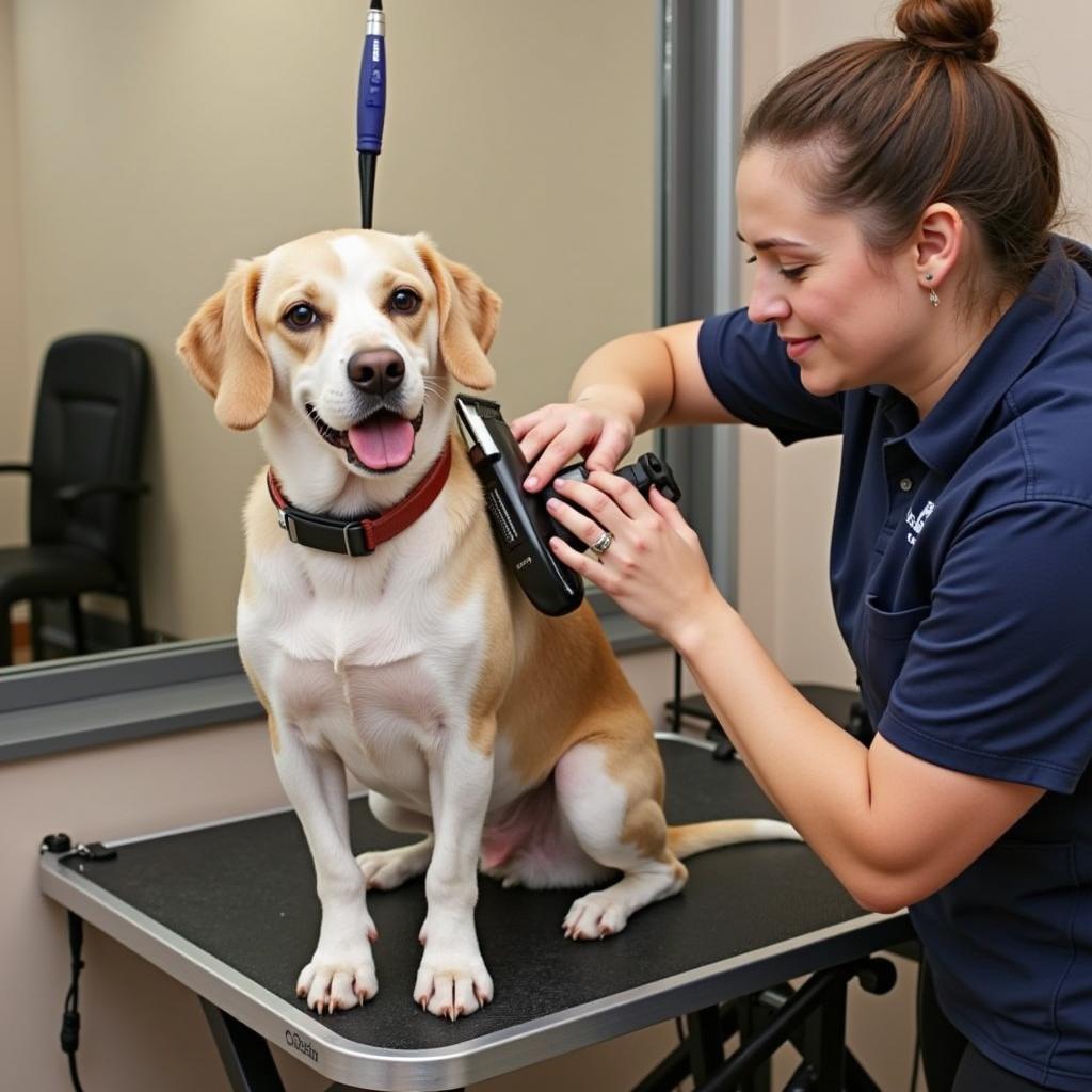 Petco Louisiana Avenue Grooming Salon