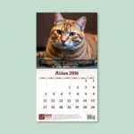 A heartwarming calendar showcasing rescue cats with their adoption stories