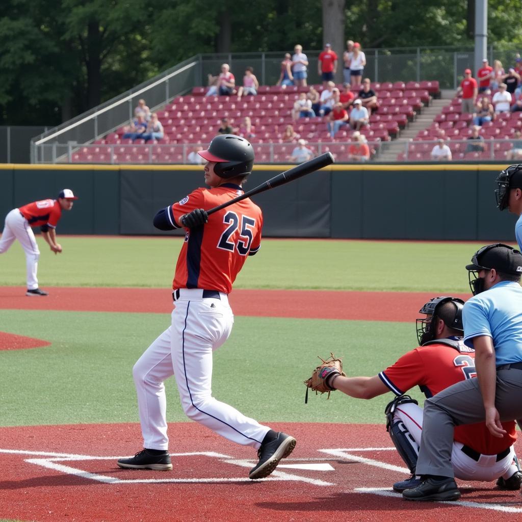 Semi-Professional Baseball Game Action