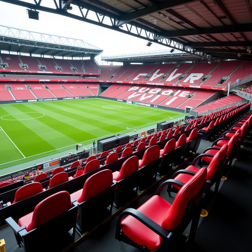 Sensory Pod Chairs with Vodafone Park View