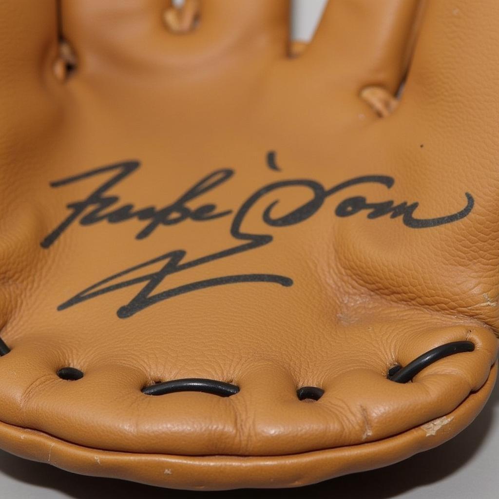 Close-up of a Signed Baseball Glove