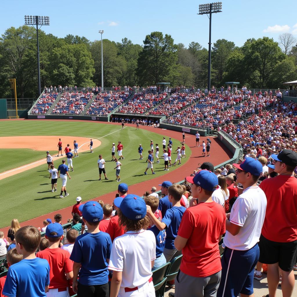 Youth Baseball Tournament in South Carolina