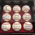 St. Louis Cardinals Autographed Baseball Collection Display