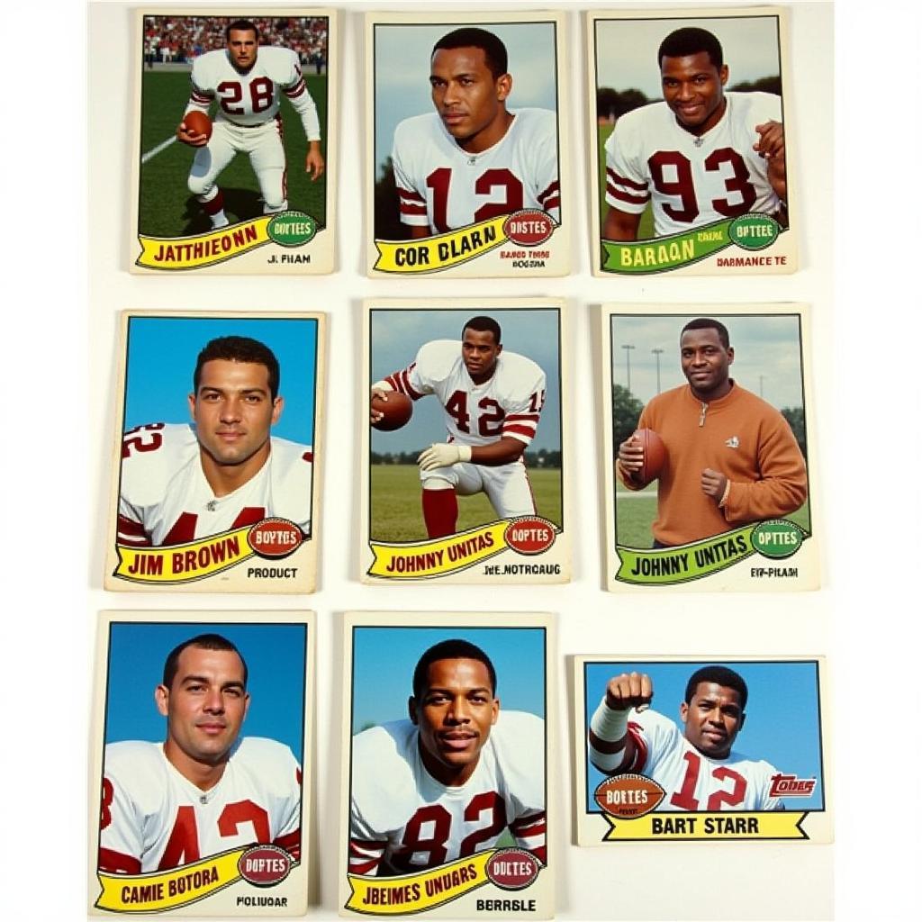 Hall of Famers in the 1965 Philadelphia Football Card Set