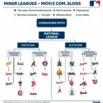 MLB Organizational Structure