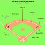 Standard Baseball Defensive Positions Chart