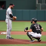 Catcher Giving Signs to the Pitcher