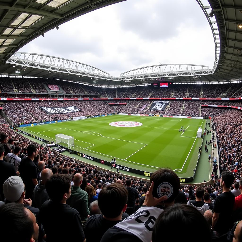 BBI-207 Displayed on Flags and Scarves at Vodafone Park