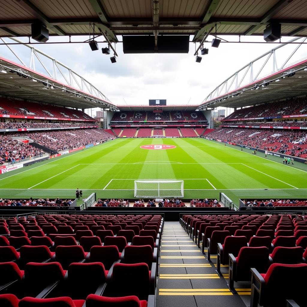 Besiktas Diamond VIP Seating View