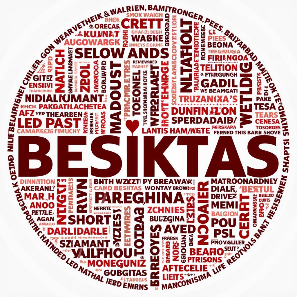 Besiktas Fan Search Patterns