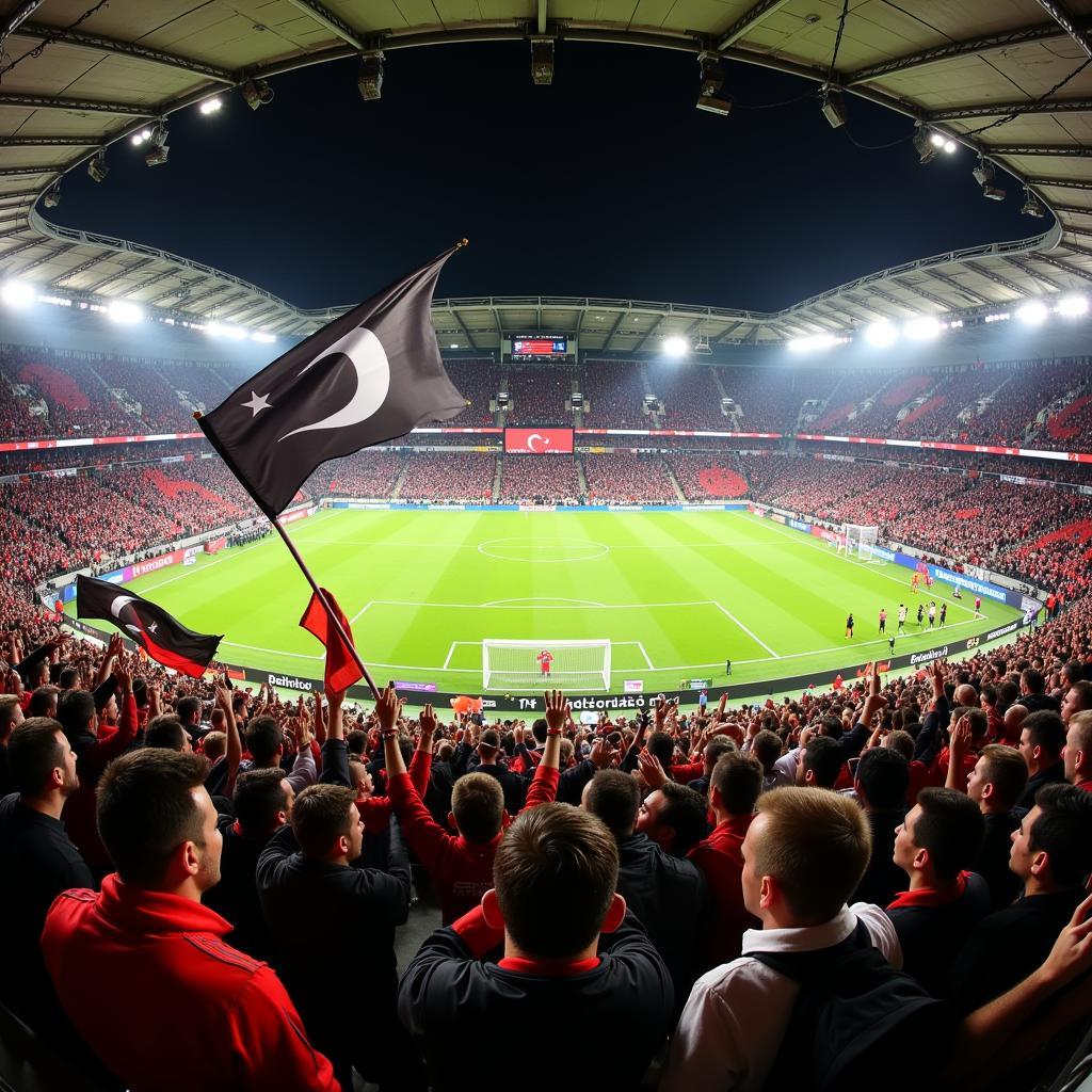 Besiktas fans celebrating a victory