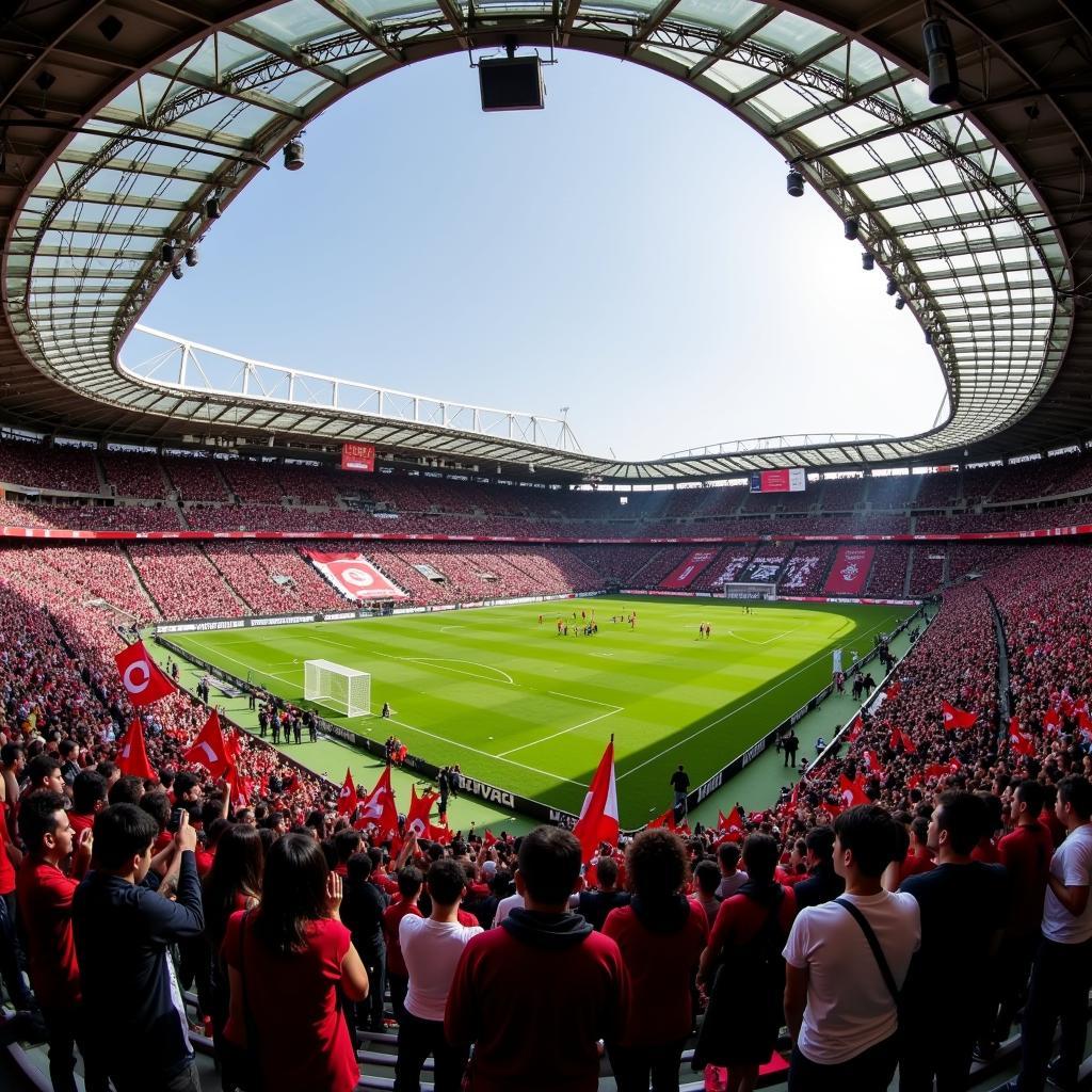 Beşiktaş Fans in Vodafone Park