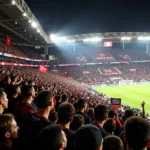 Besiktas Fans at Vodafone Park in Istanbul