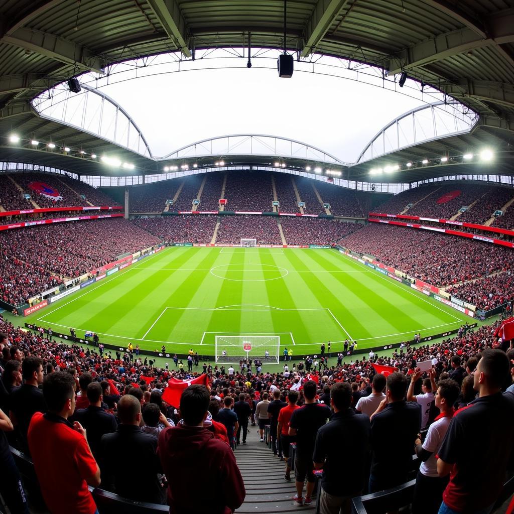 Besiktas Fans at Vodafone Park