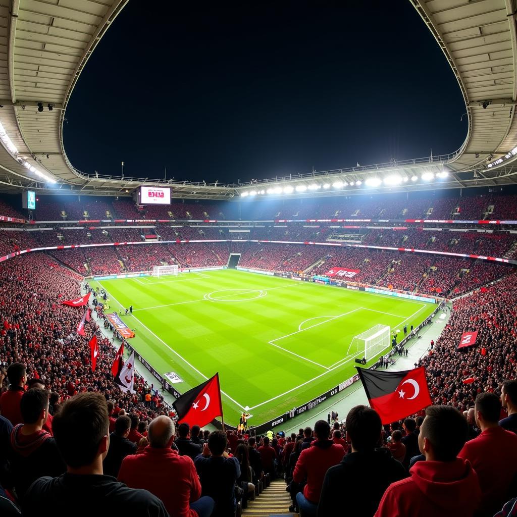 Besiktas Fans at Vodafone Park