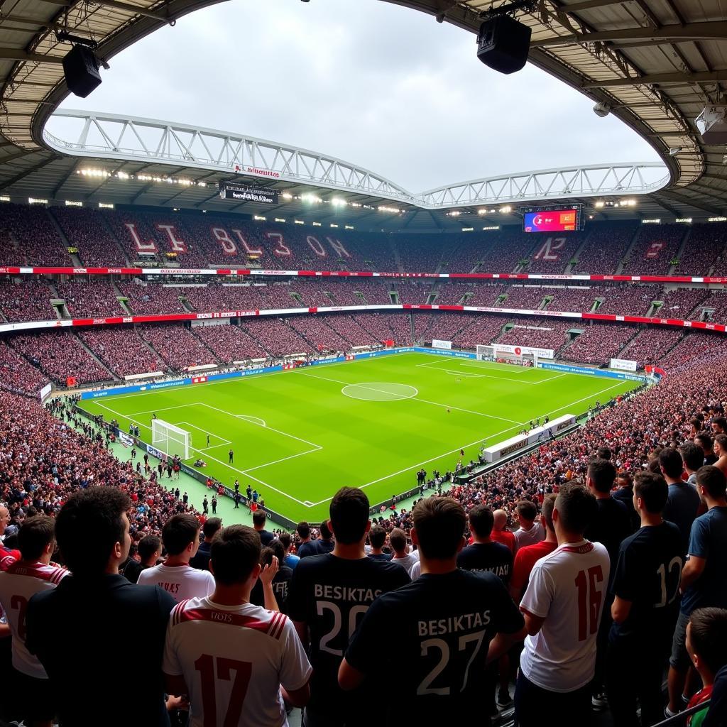 Besiktas Fans in Vodafone Park Wearing B17 Shirts