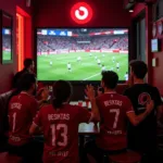 Besiktas fans watch a match together near Target Ontario