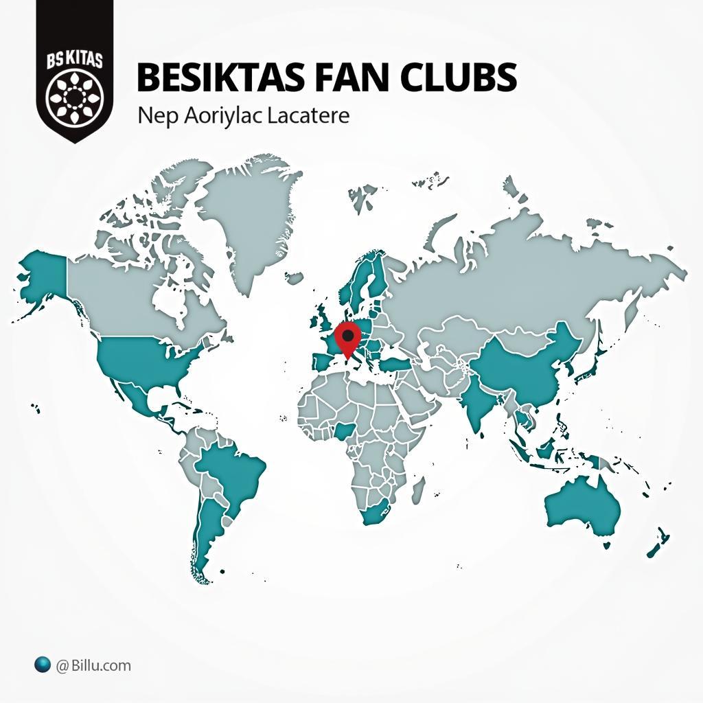 Besiktas Global Fan Base