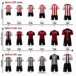 Evolution of Besiktas Club Suits Through the Years