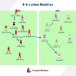 Besiktas Tactical Formation 441 21