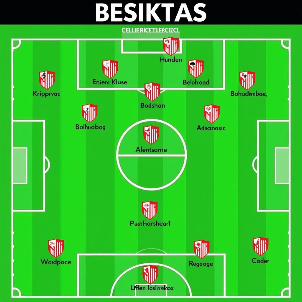 Besiktas Tactical Formation