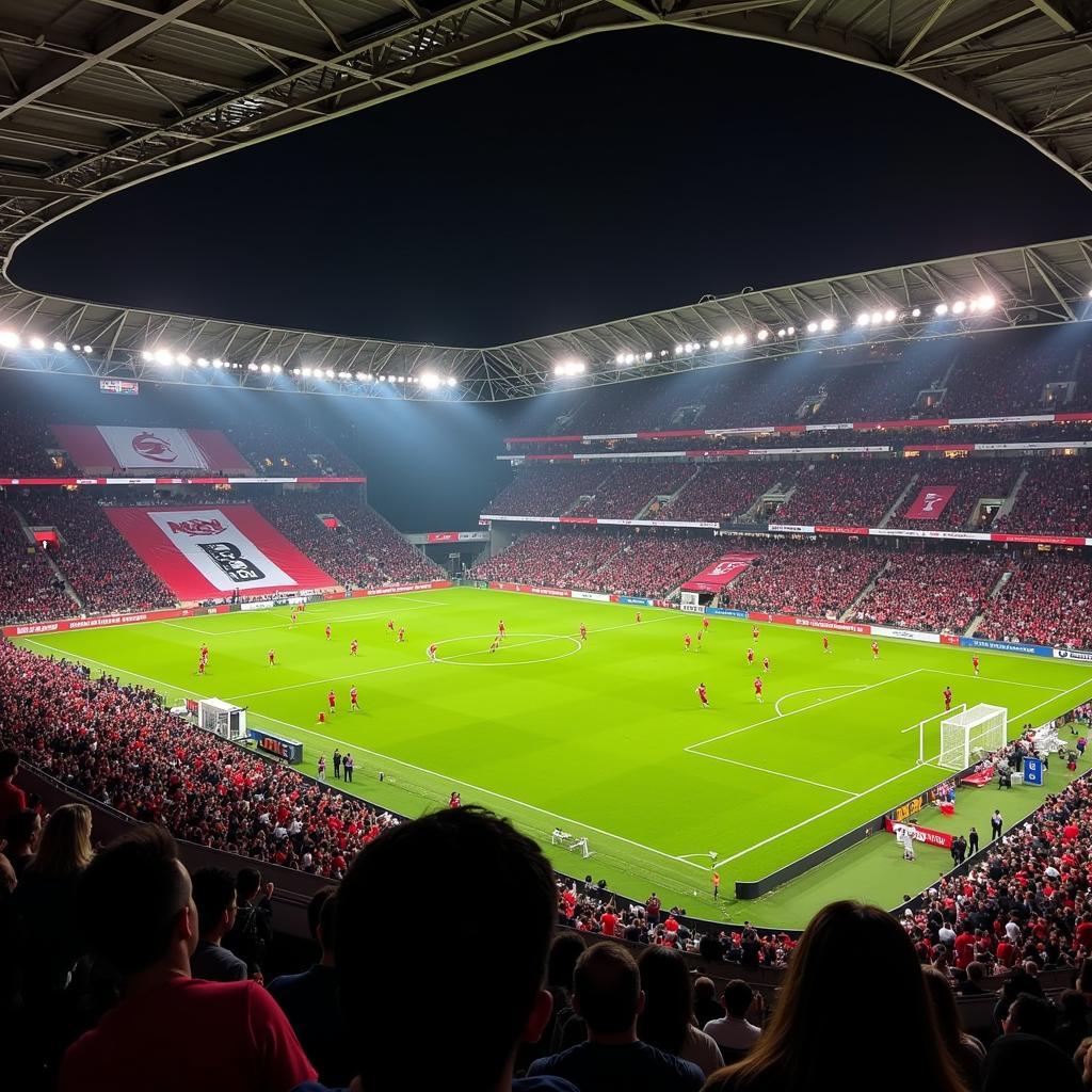 Vodafone Park Atmosphere during a Besiktas Match