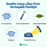 Blue Point Flashlight Rechargeable Benefits