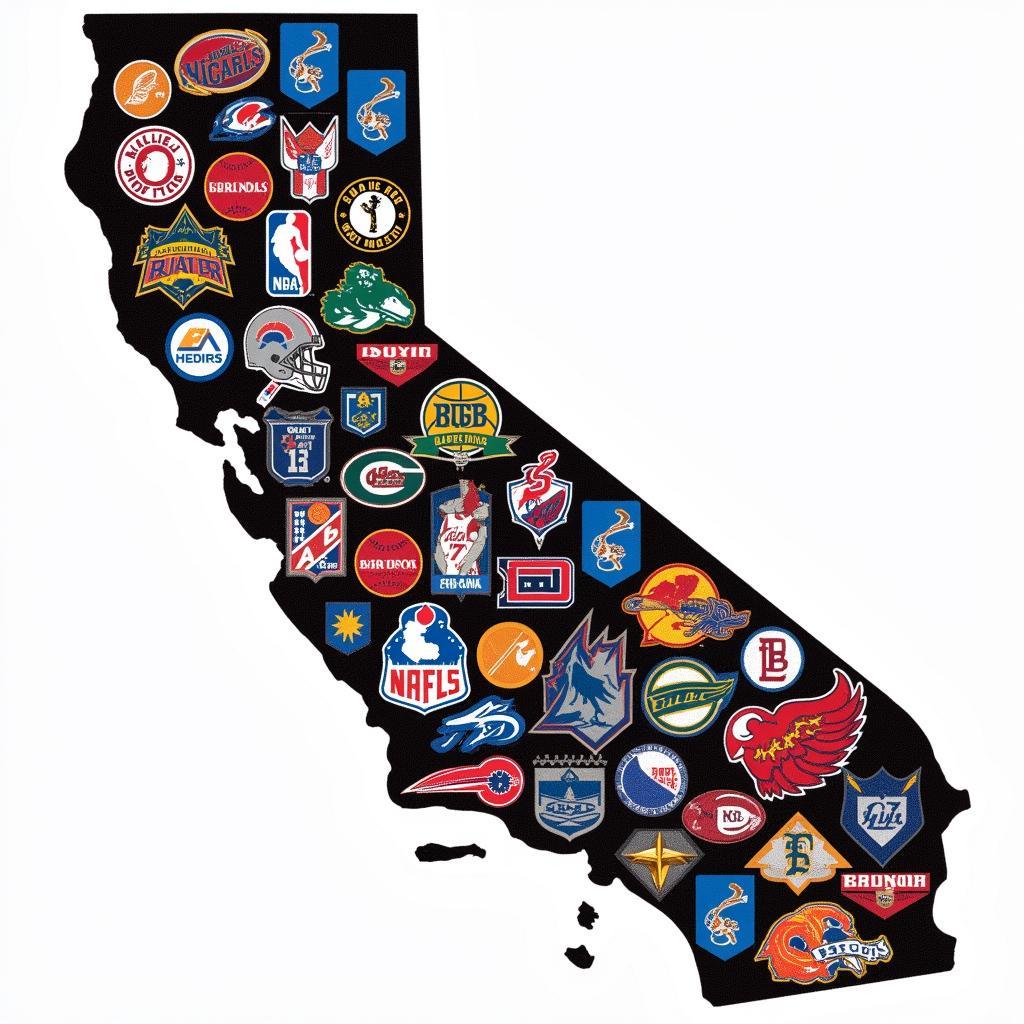 California Sports Landscape