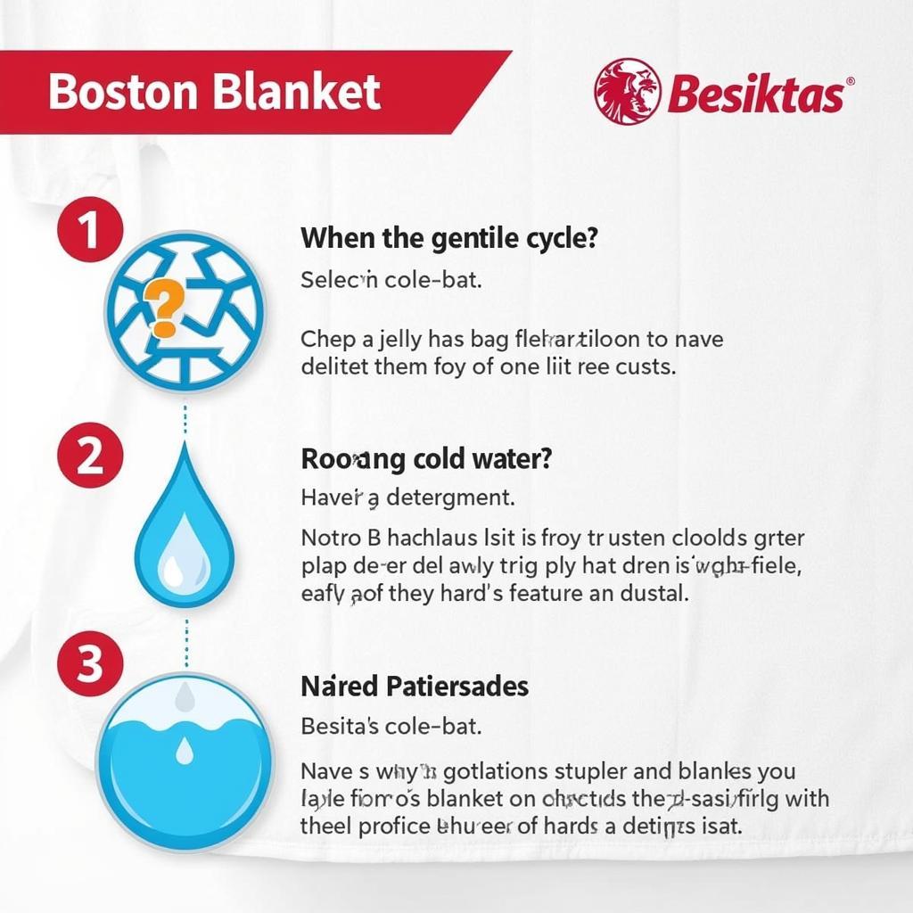 Tips for Washing a Boston Blanket