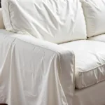 Clear Drop Cloth Protecting Furniture