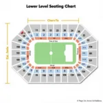 Davis Wade Stadium Lower Level Seating Chart