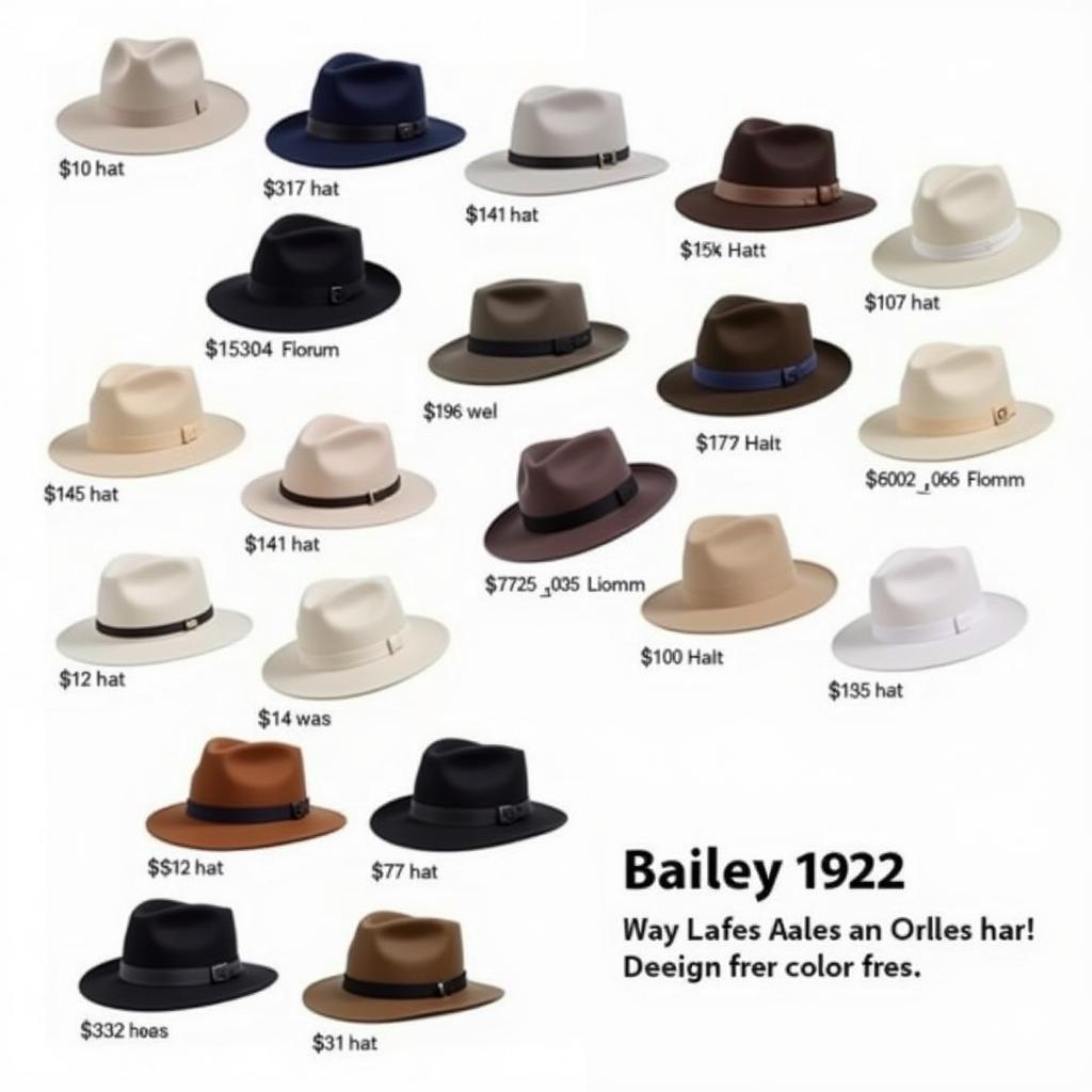 Various Styles of Bailey 1922 Hats