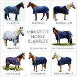 Different Types of Miniature Horse Blankets