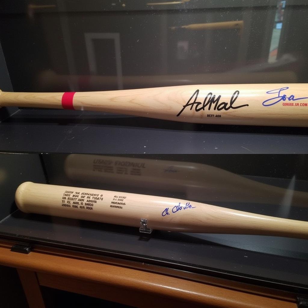 Display Case with Jose Altuve Signed Bat