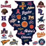 Minor league and college sports teams across Illinois.