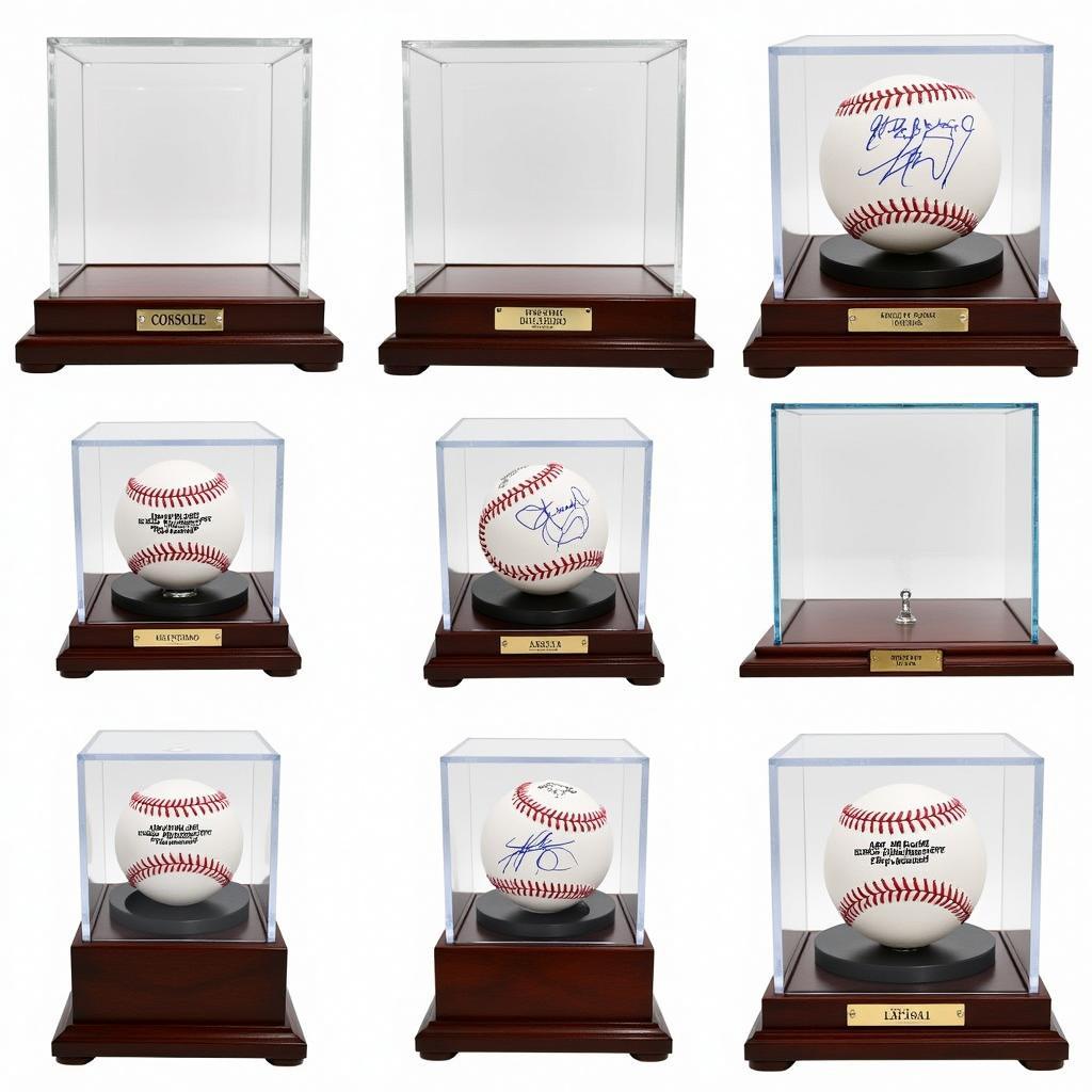 Kyle Tucker Signed Baseball Display Case Options