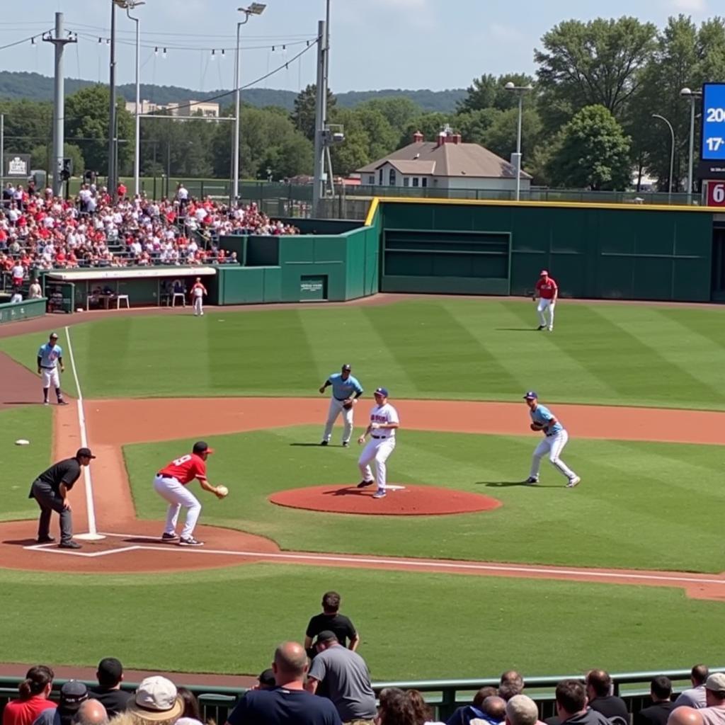 Minor League Baseball Player Development