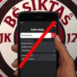 Misinterpreted Search Terms and Beşiktaş