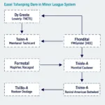 Progression through MLB affiliate levels