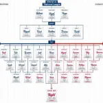 Major League Baseball League Structure