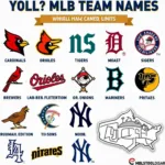 Categorization of MLB team names