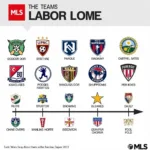 Evolution of MLS Team Names