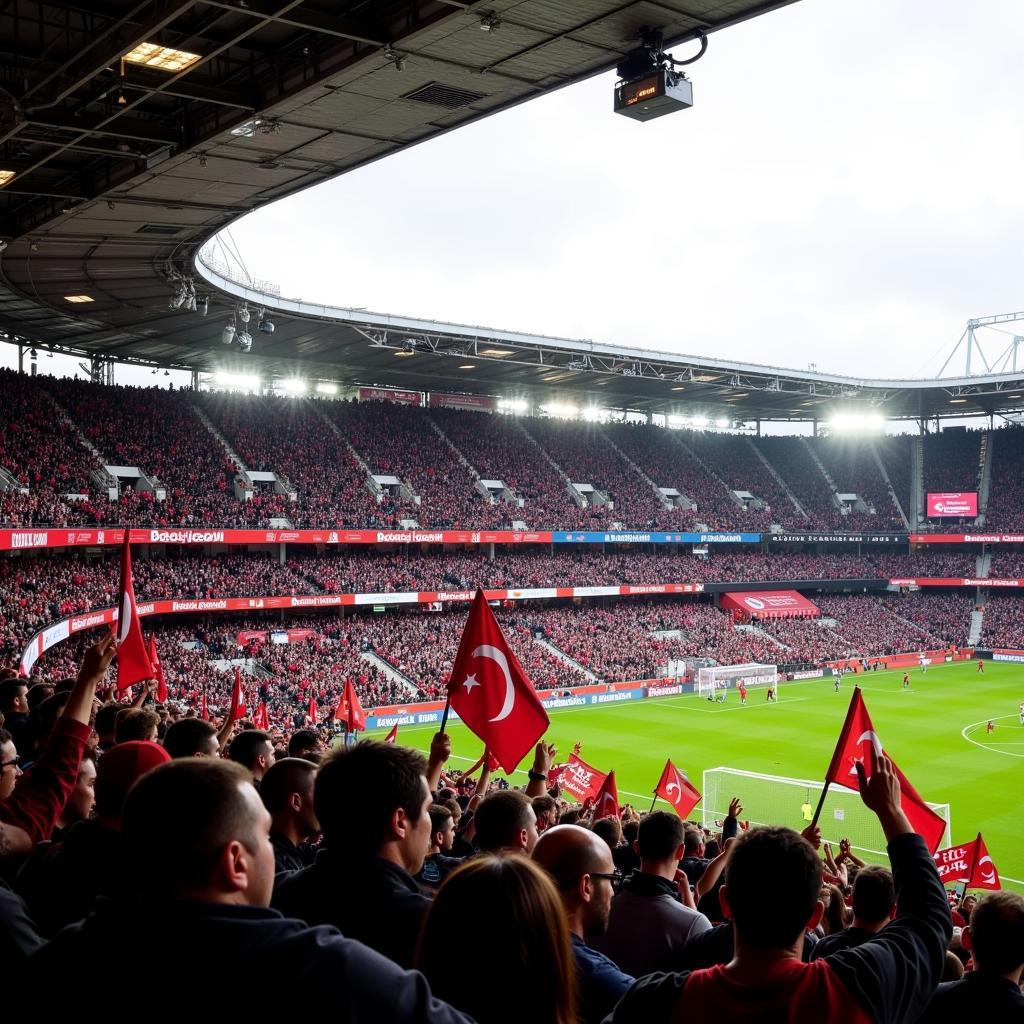 Fans Showing Support at Vodafone Park