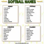 Different categories of softball team names displayed on a colorful infographic.