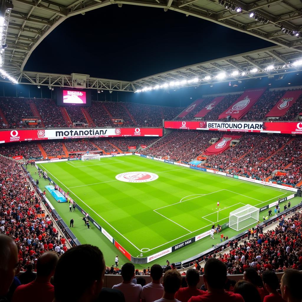 Vodafone Park Advertising Panels