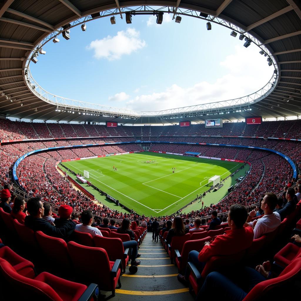 Vodafone Park View from the Stands