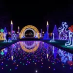 Dazzling light display at Winter Fest St. Louis